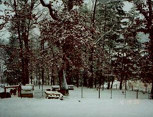 snow122000.jpg (28606 bytes)