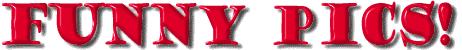 funnypix.jpg (8073 bytes)